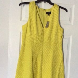 NWT J.Crew Lemon Dress 12